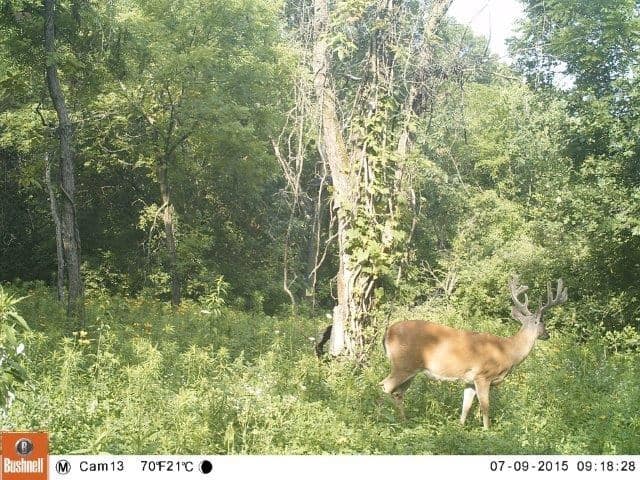 Missouri River Views – 44.56 Acres