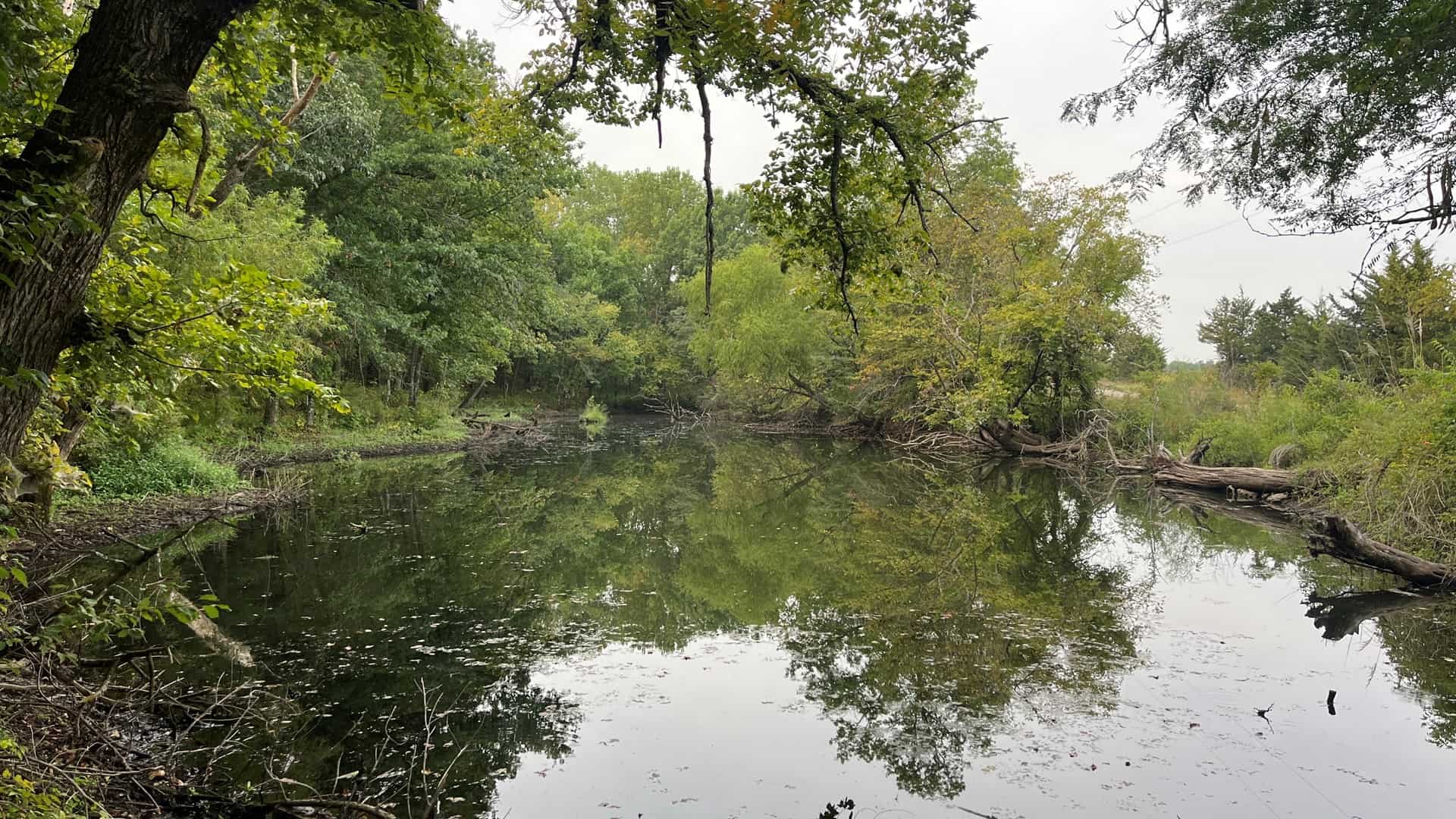 Linn County Kansas 37