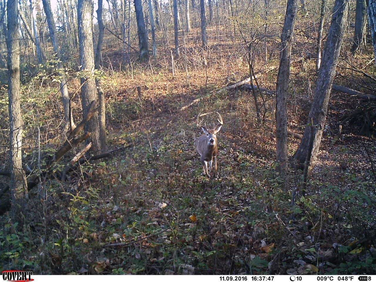 Missouri River Bluffs 46.67 Acres