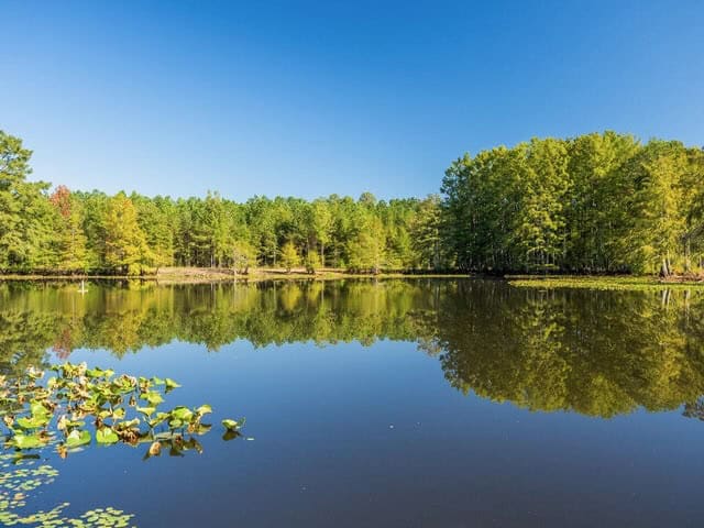 Cypress Lake 127 Acres in Starkville MS