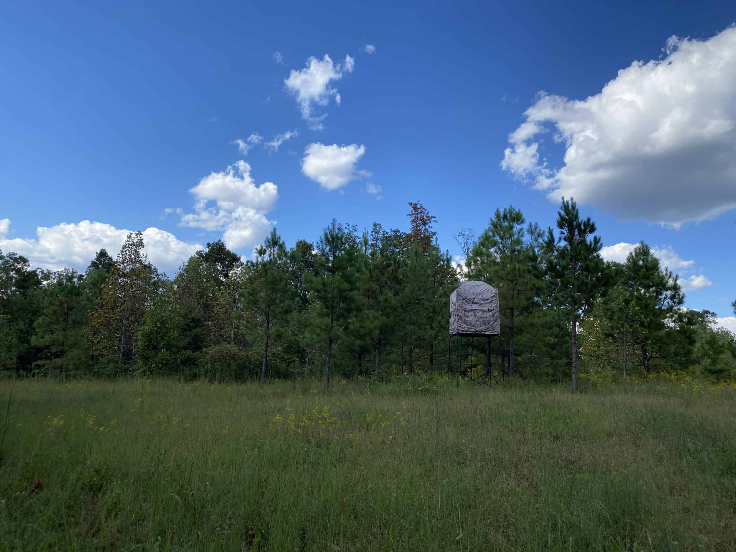 LAND FOR SALE IN TN, 32.5 ACRES+/-, OLD HOME, HUNTING, CREEK