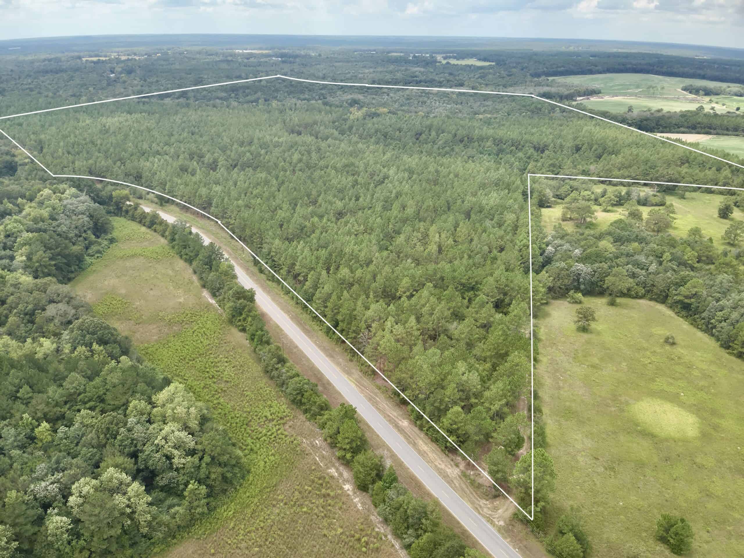 Prime Riverfront Hunting & Recreational Land for Sale in Samson Alabama!