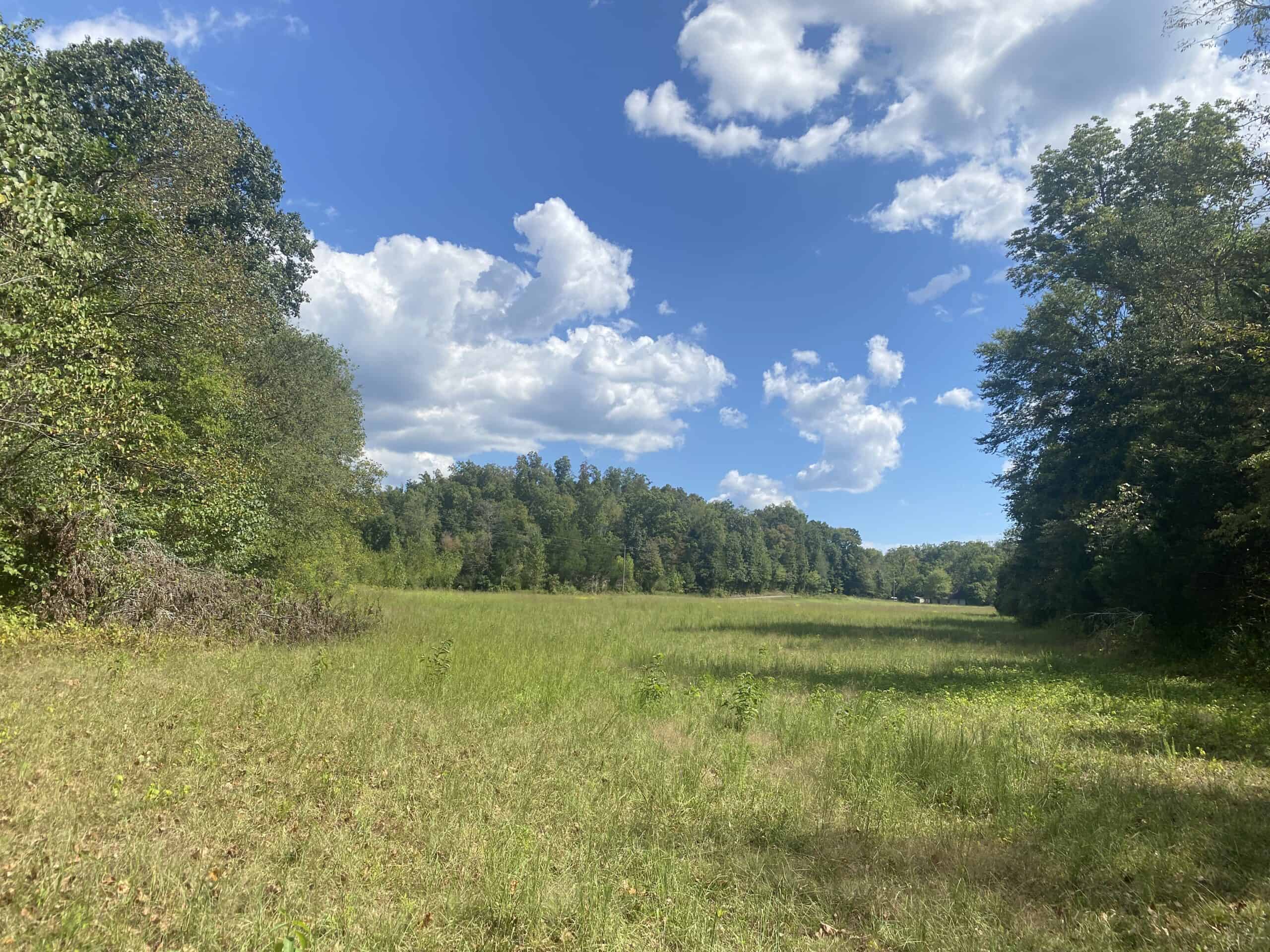 LAND FOR SALE IN TN, 21.5 ACRES+/-, OPEN & WOODED LAND, CREEK