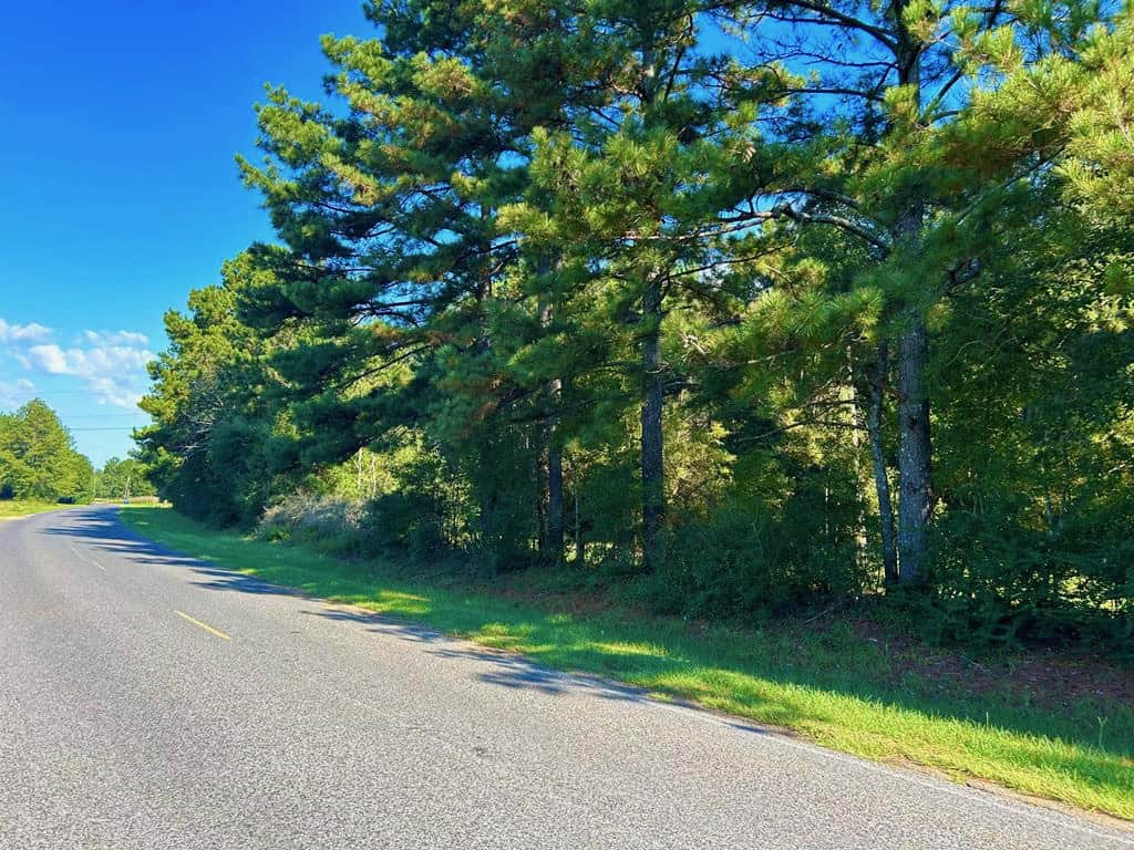 Brookhaven MS 19.7+- Acres for Sale