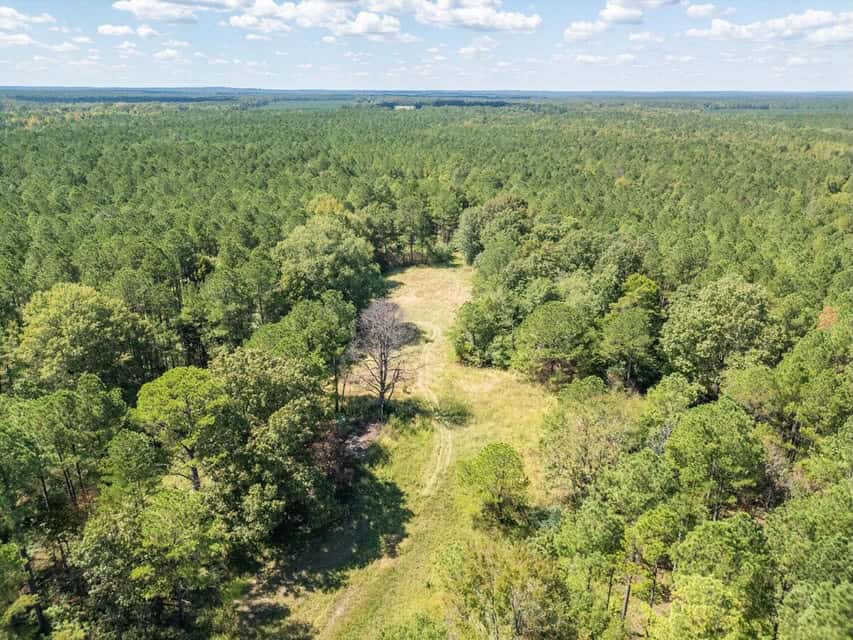 109 Acres For Sale Starkville MS