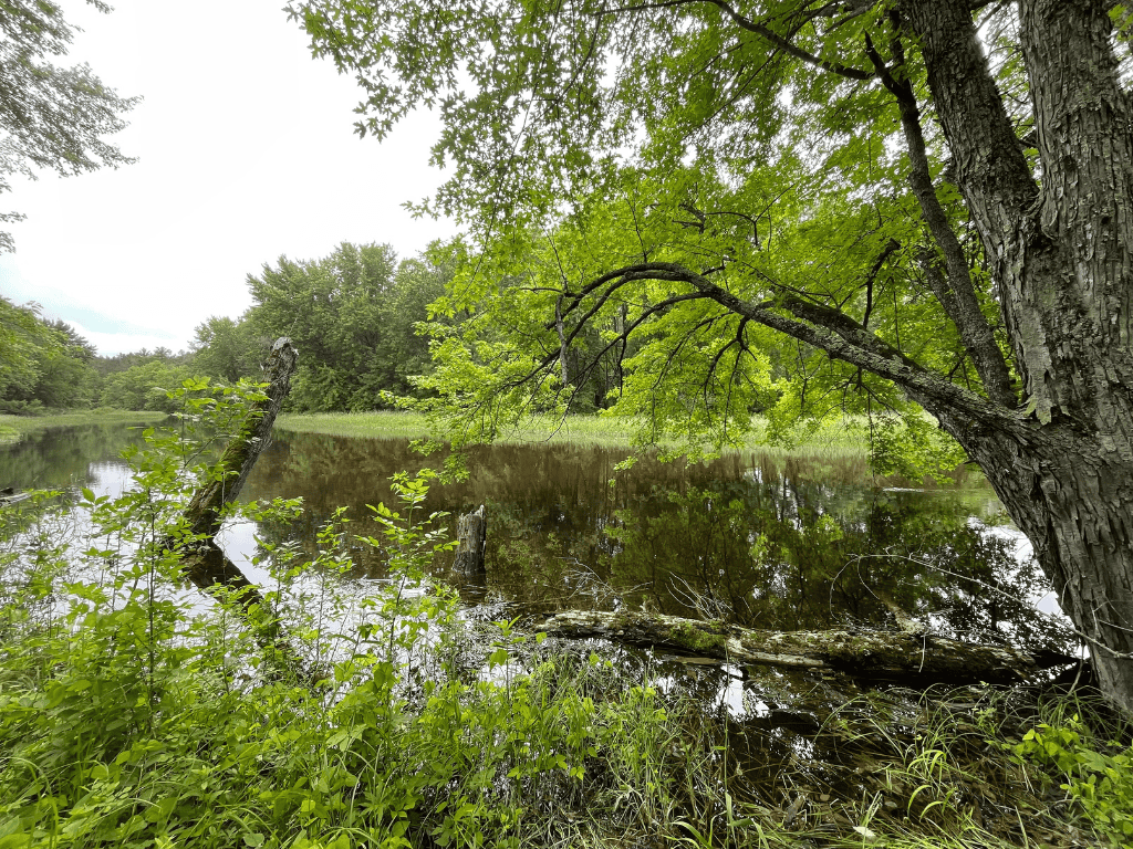 47 Ac Mississippi River Hunting Property Near Crosby, Minnesota