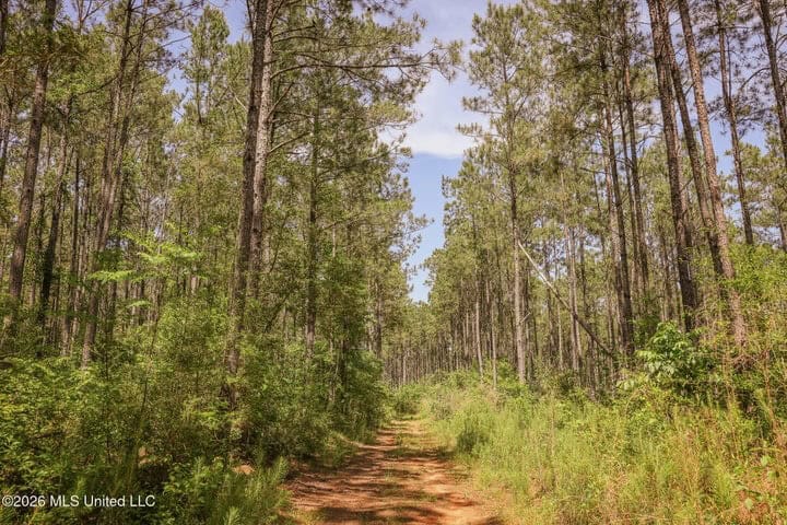 120 Acre Hunter’s Paradise in South MS for Sale