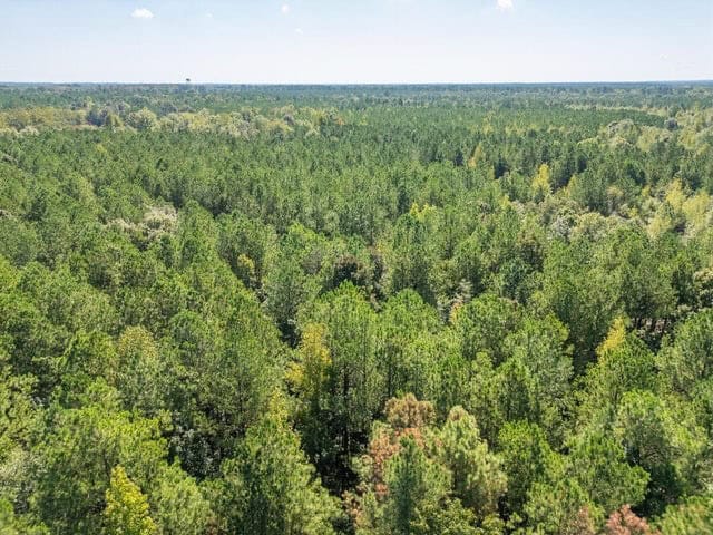 Cypress Lake 127 Acres in Starkville MS