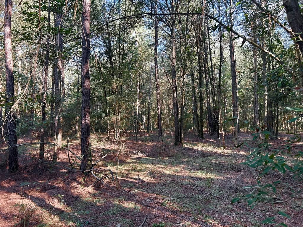 Brookhaven MS 19.7+- Acres for Sale