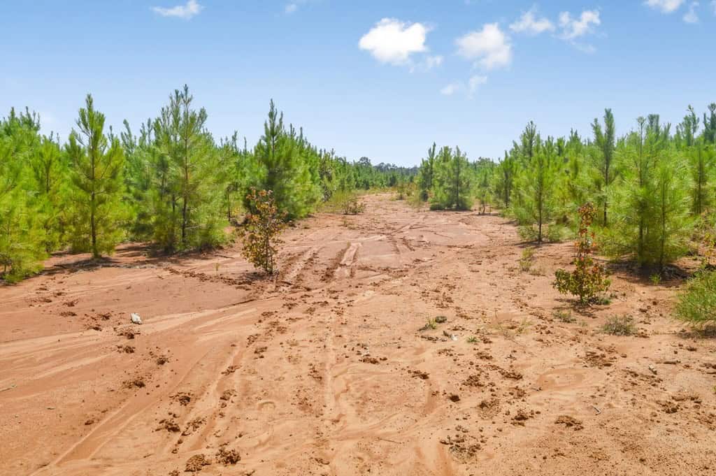 200 Acres of Land for Sale in North Pike School District