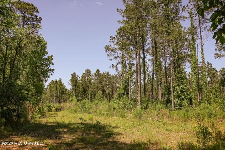 120 Acre Hunter’s Paradise in South MS for Sale