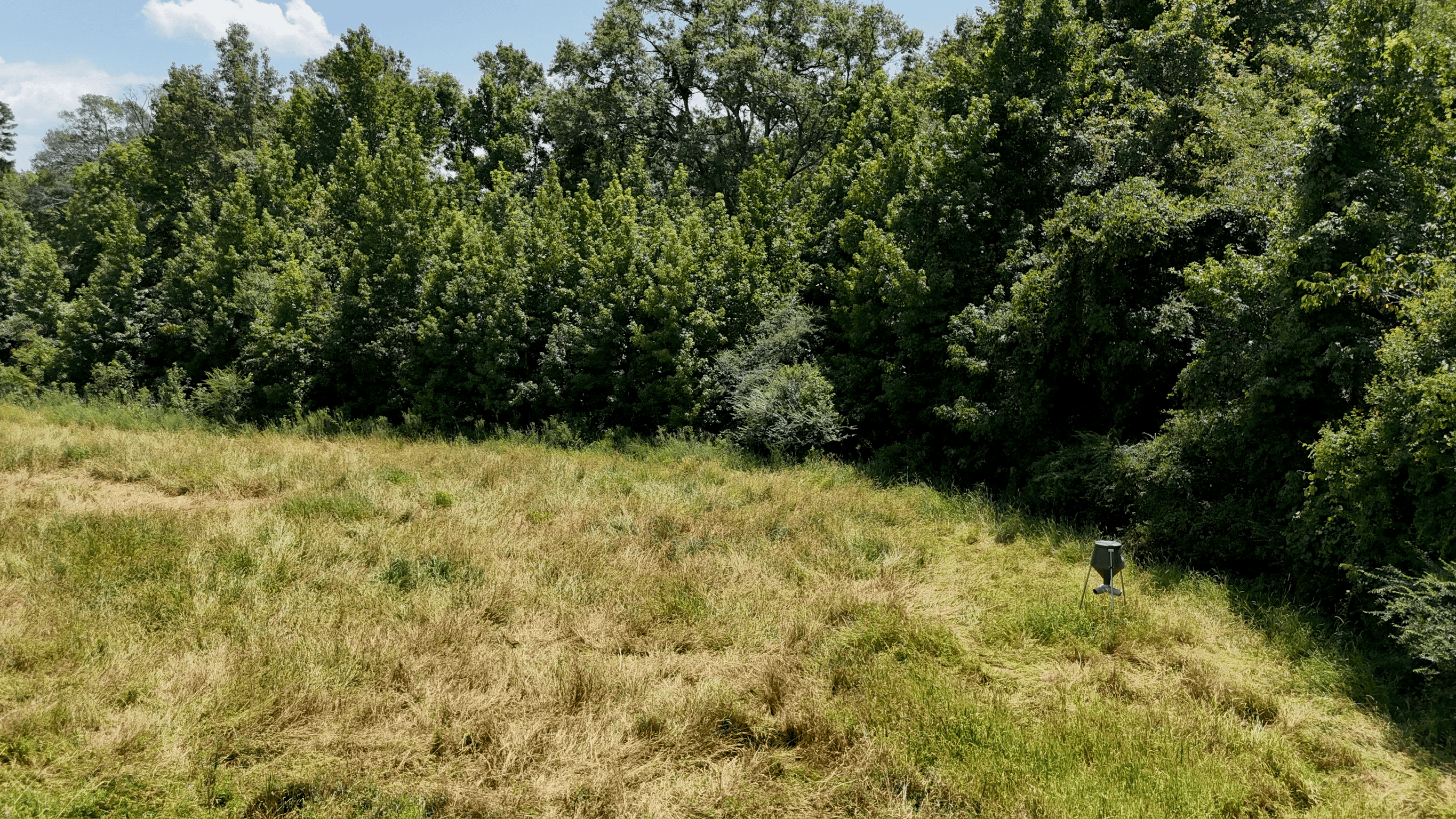 194 Acre Hunting, Homesite, and Pastureland for Sale