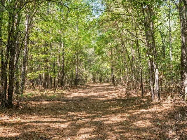Cypress Lake 127 Acres in Starkville MS