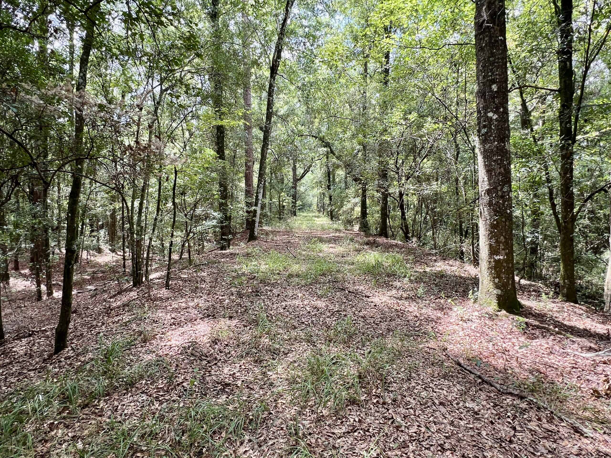 Prime Riverfront Hunting & Recreational Land for Sale in Samson Alabama!