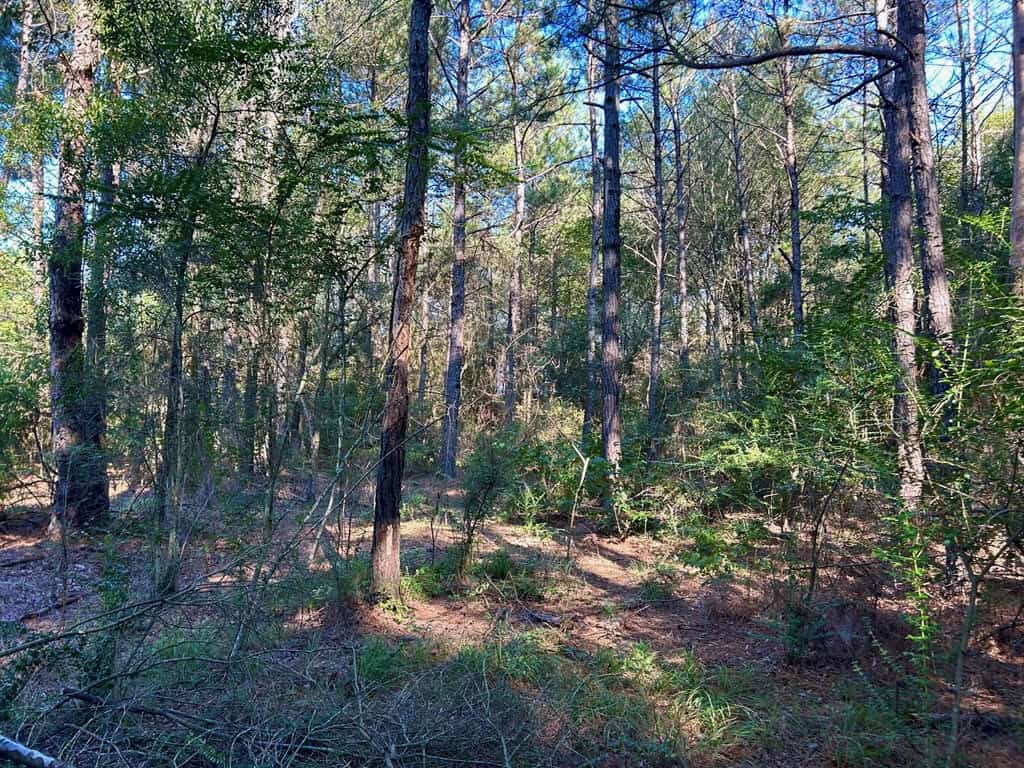 Brookhaven MS 19.7+- Acres for Sale