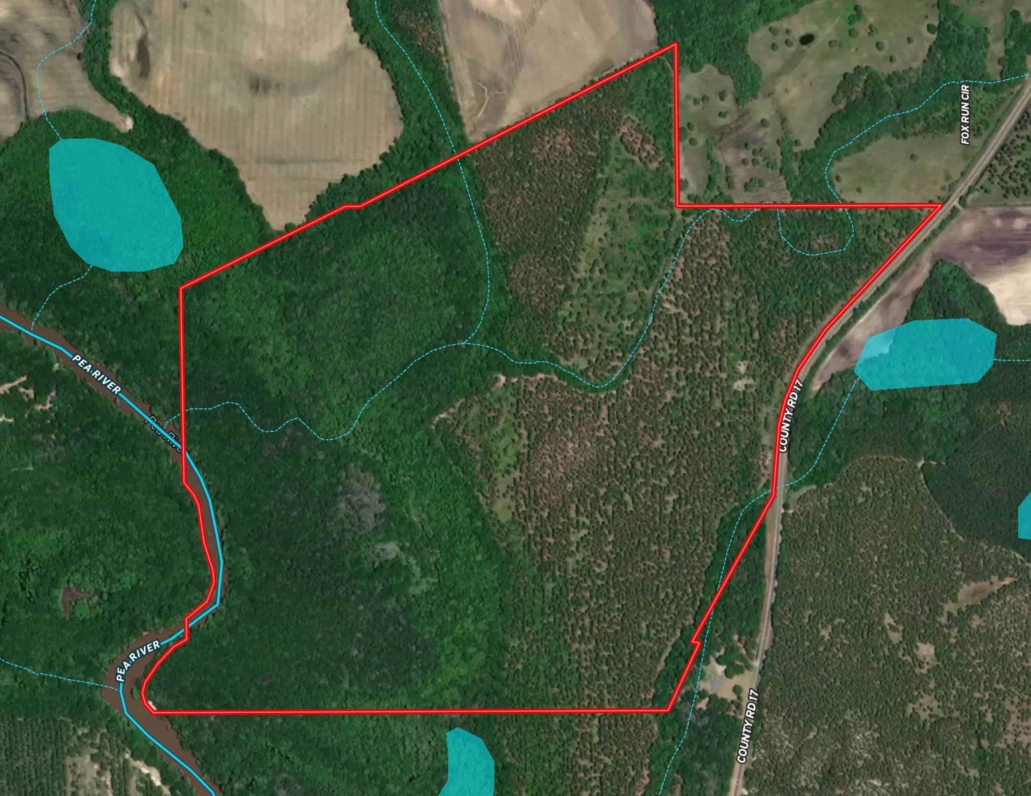 Prime Riverfront Hunting & Recreational Land for Sale in Samson Alabama!