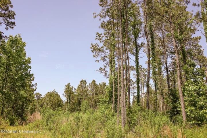 120 Acre Hunter’s Paradise in South MS for Sale