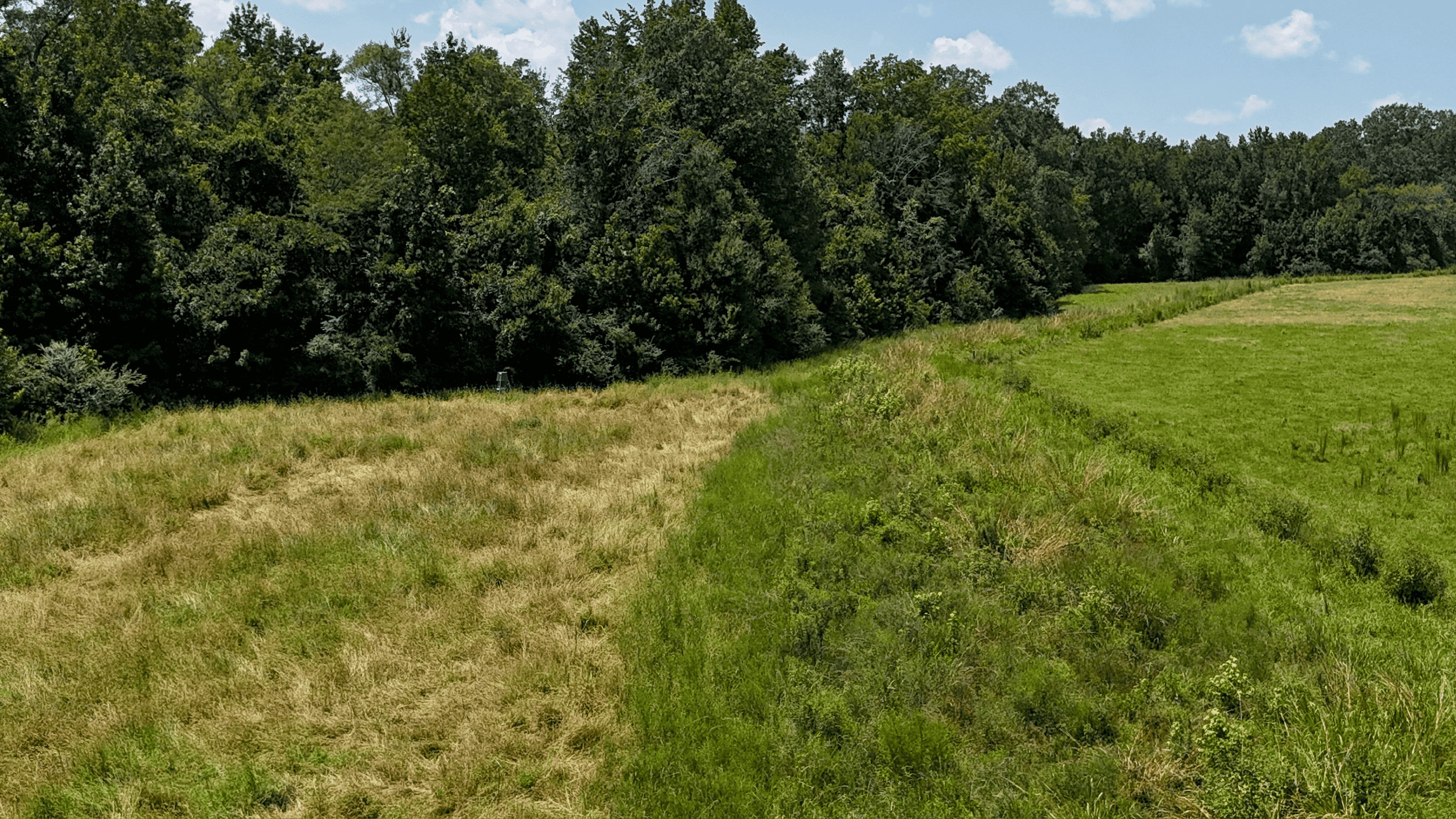 194 Acre Hunting, Homesite, and Pastureland for Sale