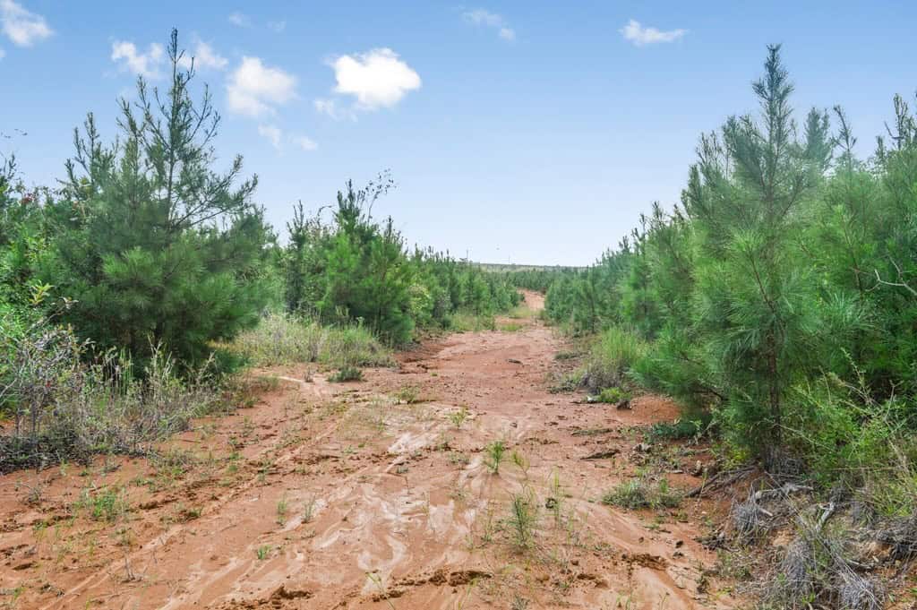 200 Acres of Land for Sale in North Pike School District