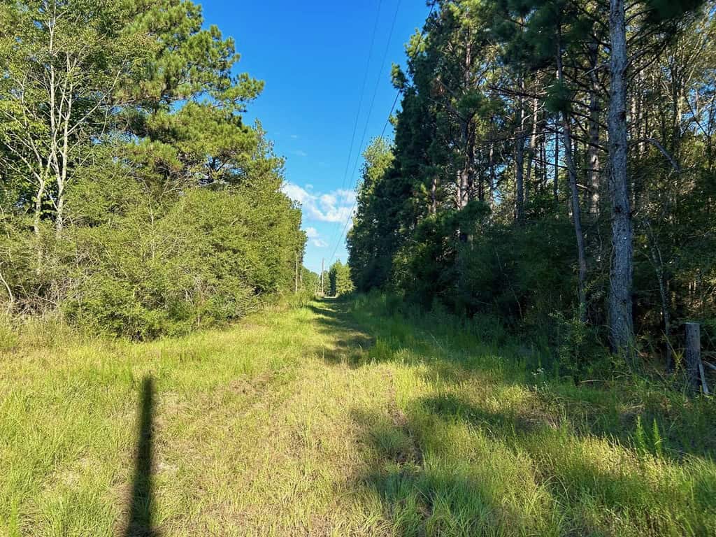 Brookhaven MS 19.7+- Acres for Sale