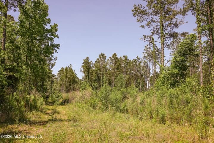 120 Acre Hunter’s Paradise in South MS for Sale