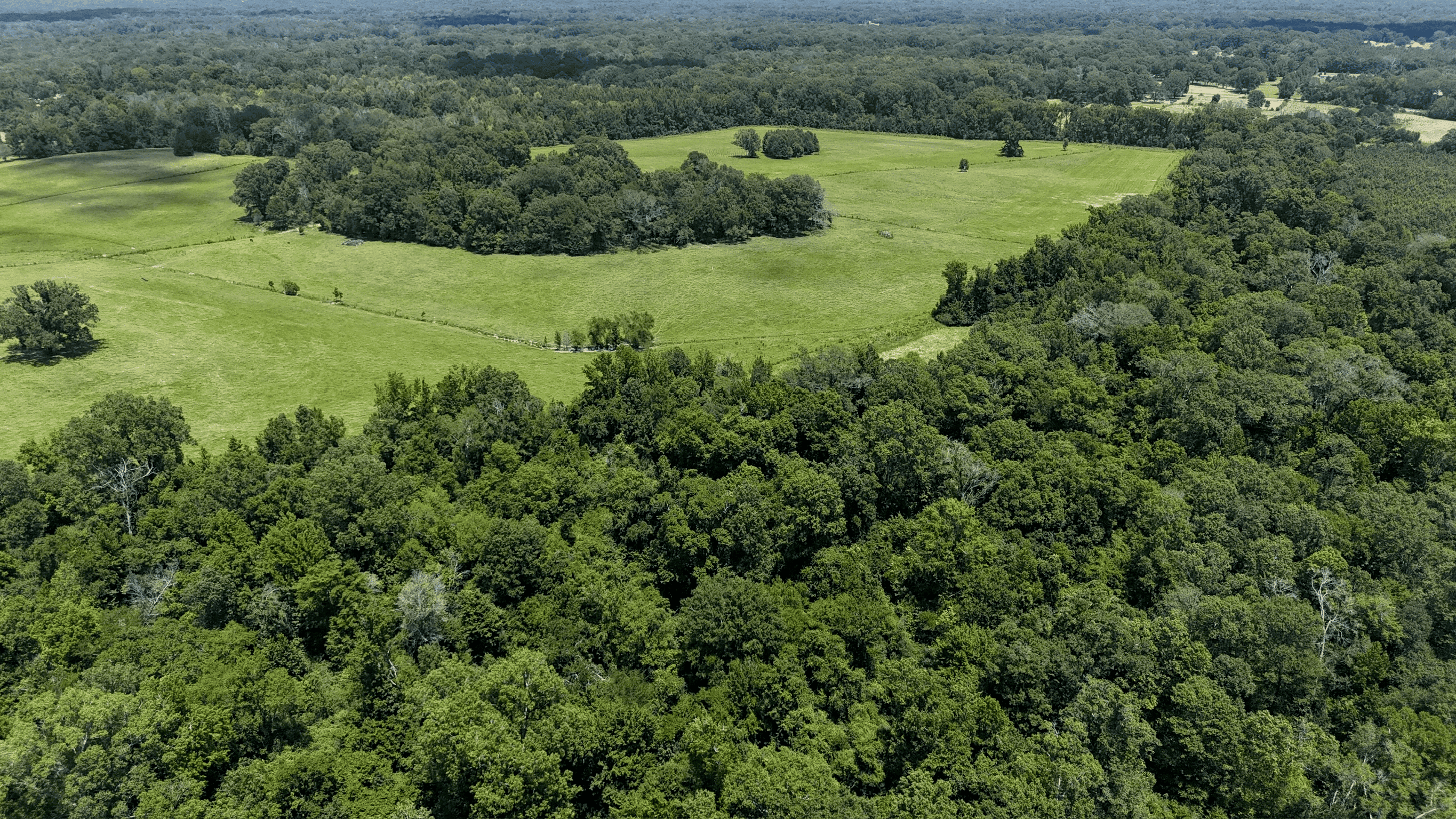194 Acre Hunting, Homesite, and Pastureland for Sale