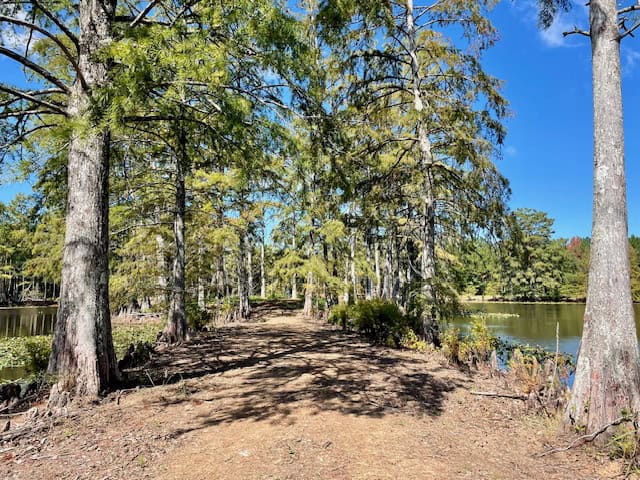 Cypress Lake 127 Acres in Starkville MS