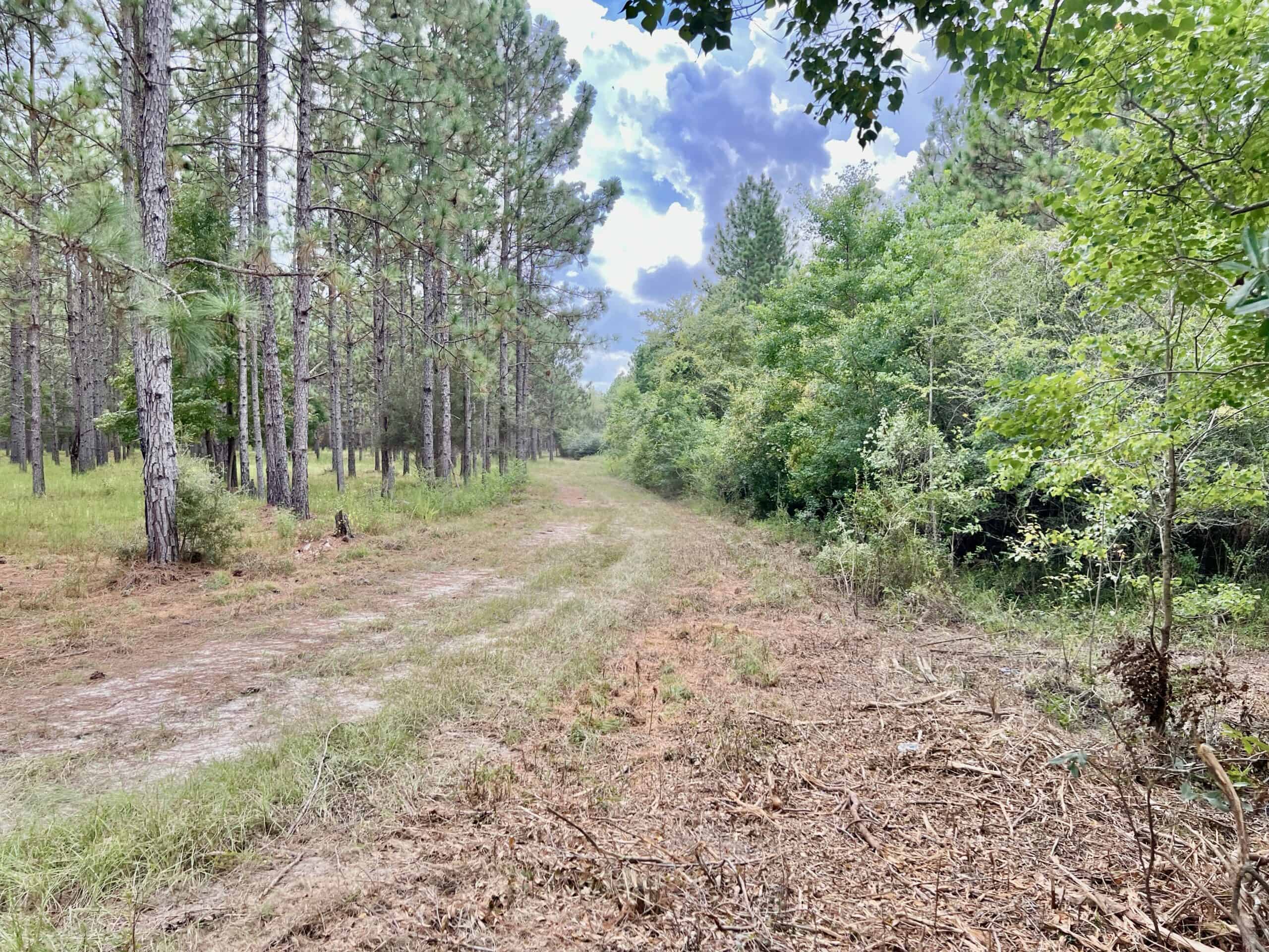 Prime Riverfront Hunting & Recreational Land for Sale in Samson Alabama!