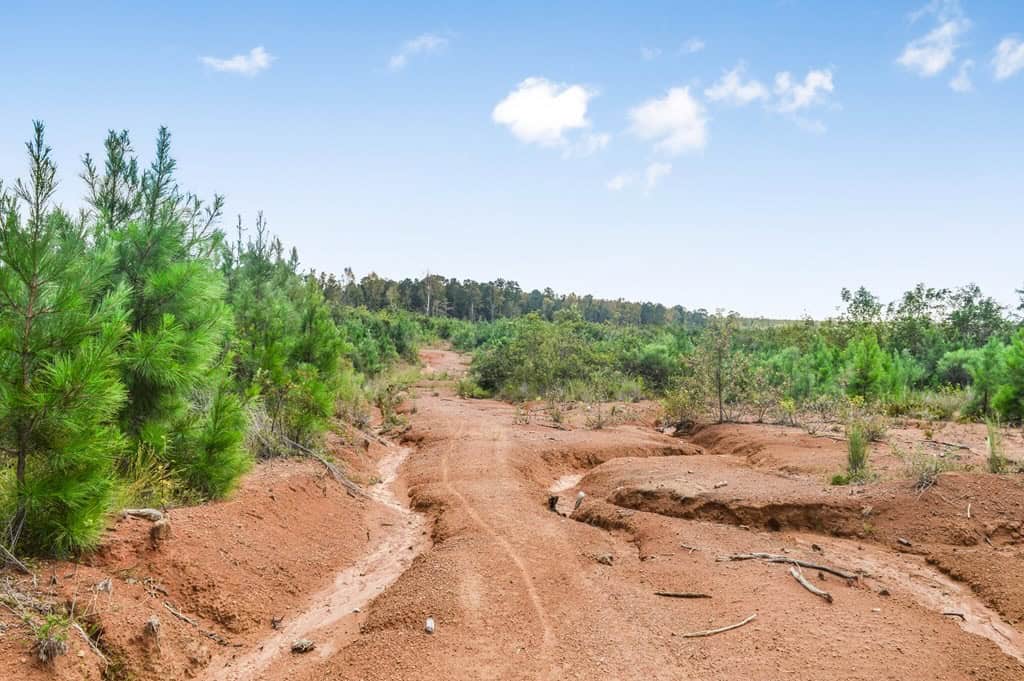 200 Acres of Land for Sale in North Pike School District