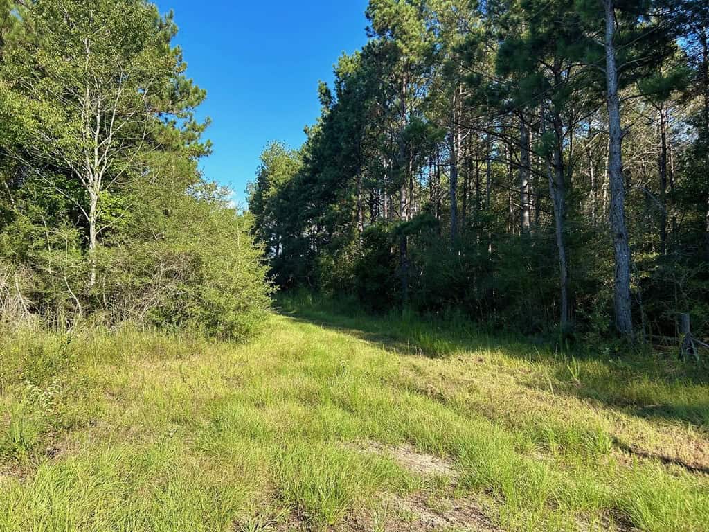 Brookhaven MS 19.7+- Acres for Sale