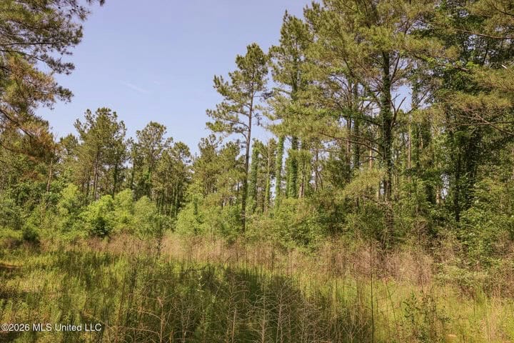 120 Acre Hunter’s Paradise in South MS for Sale