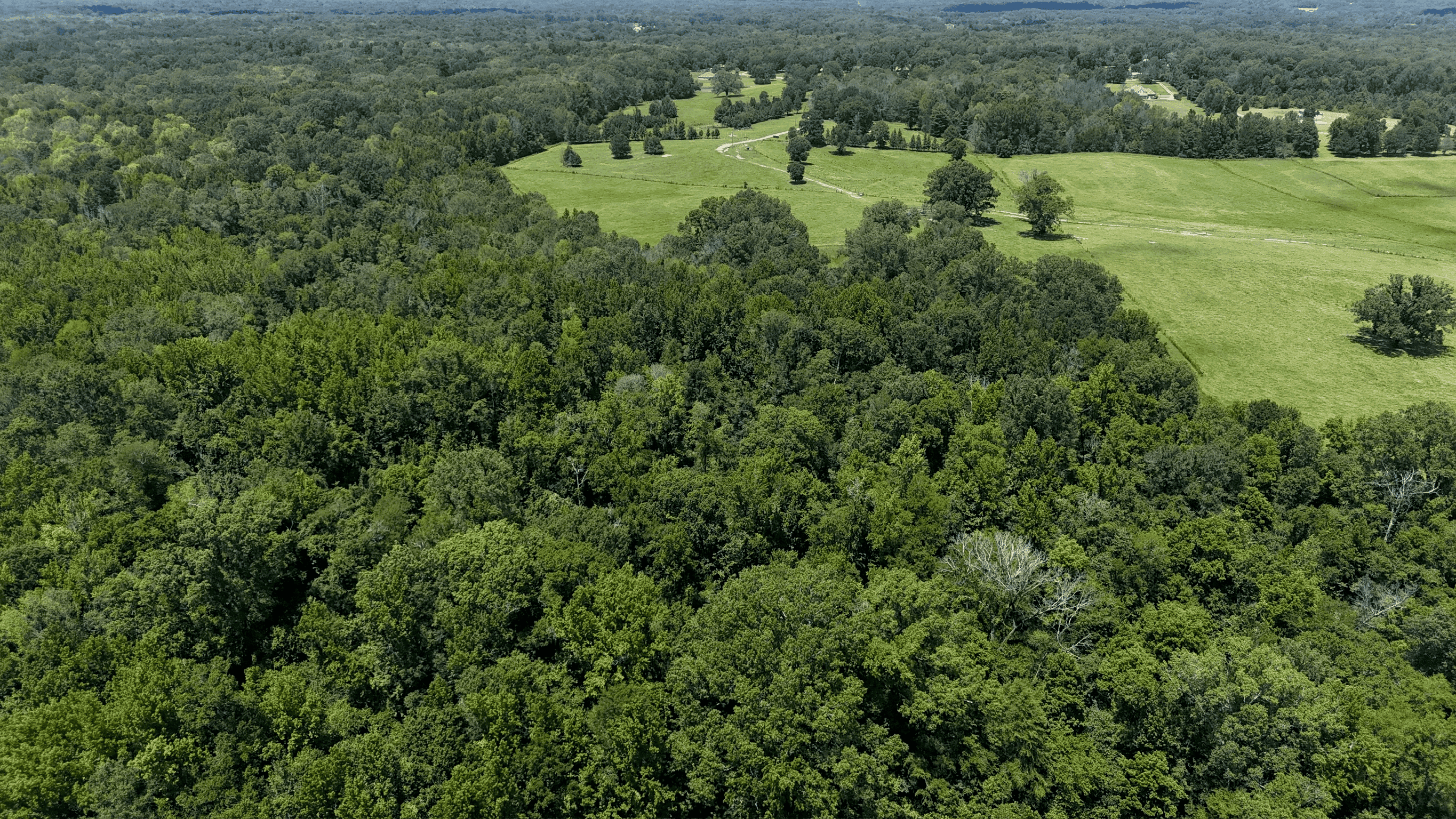 194 Acre Hunting, Homesite, and Pastureland for Sale