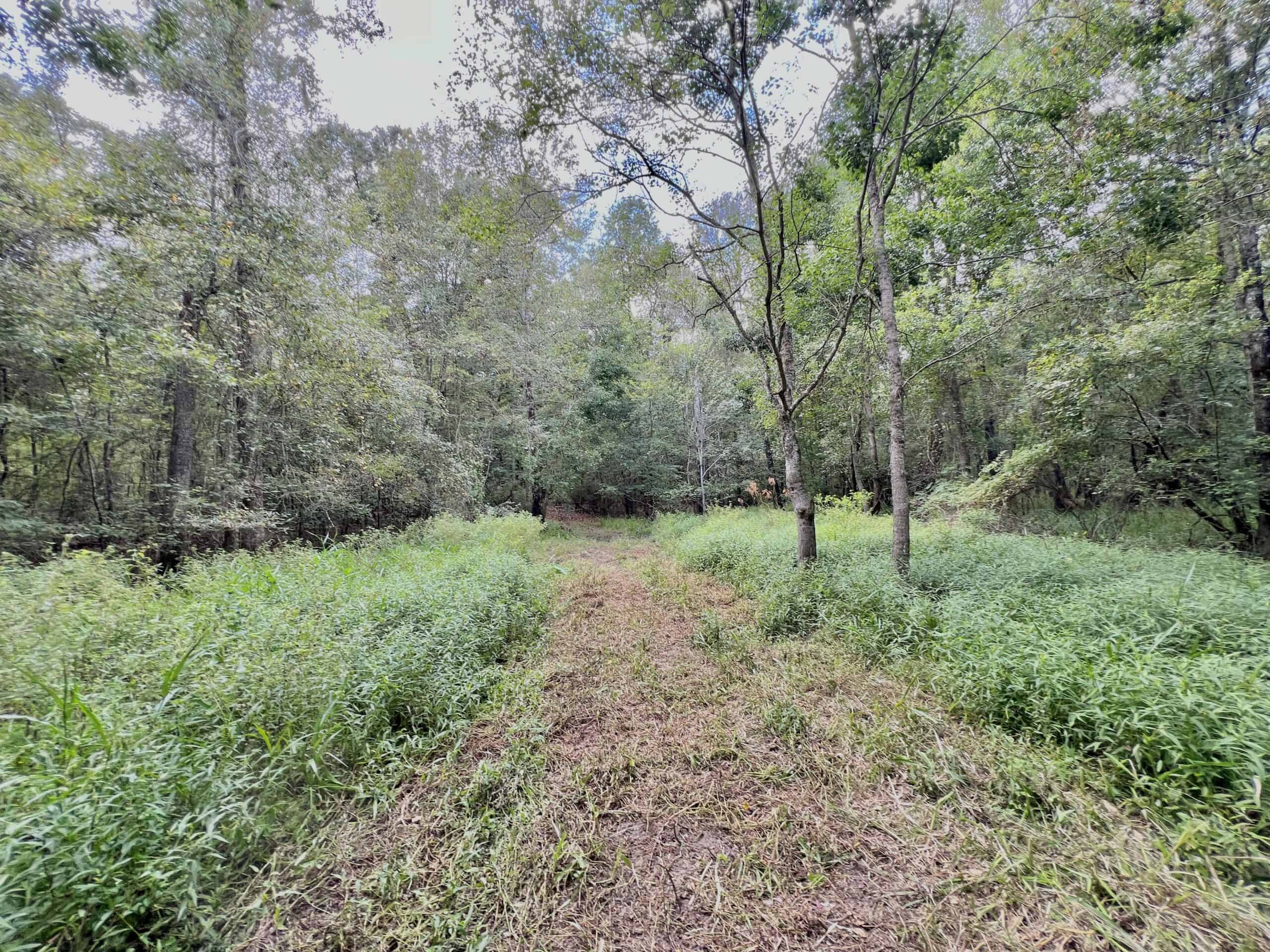 Prime Riverfront Hunting & Recreational Land for Sale in Samson Alabama!