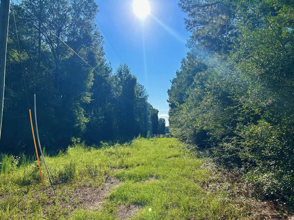 Brookhaven MS 19.7+- Acres for Sale