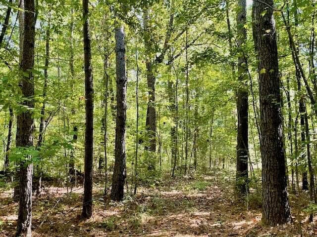 25 Acres For Sale Starkville MS