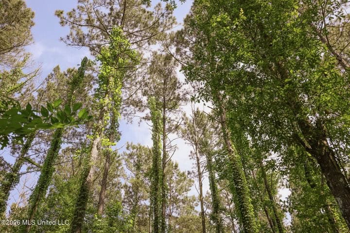 120 Acre Hunter’s Paradise in South MS for Sale