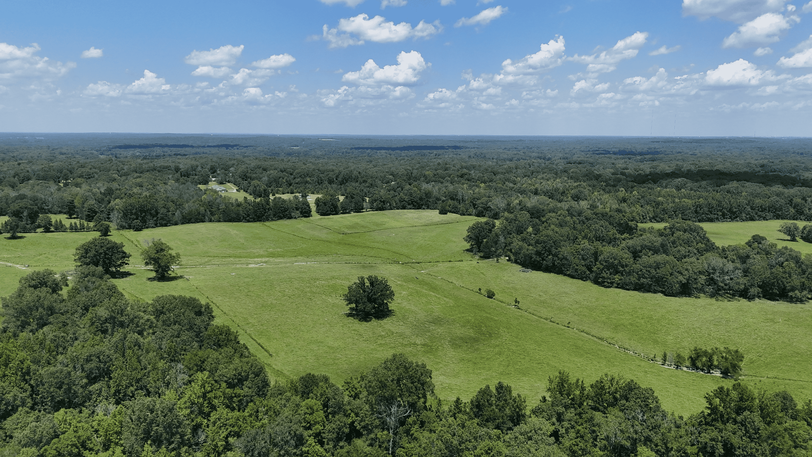 194 Acre Hunting, Homesite, and Pastureland for Sale