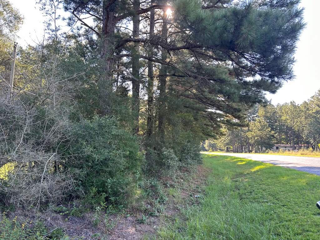 Brookhaven MS 19.7+- Acres for Sale