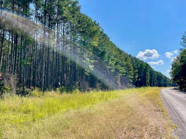 25 Acres For Sale Starkville MS