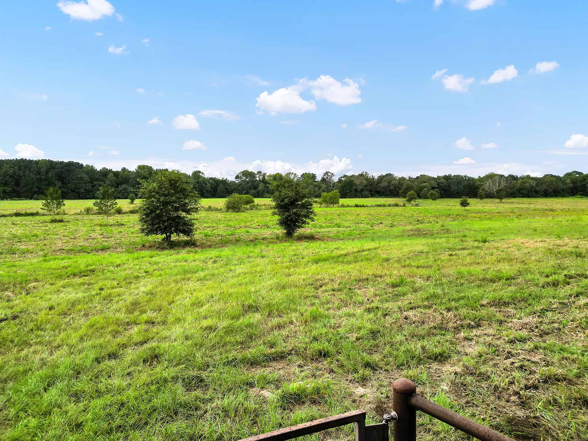 SOLD! Texas Neches Riverfront Hunting Property East of Dallas TX