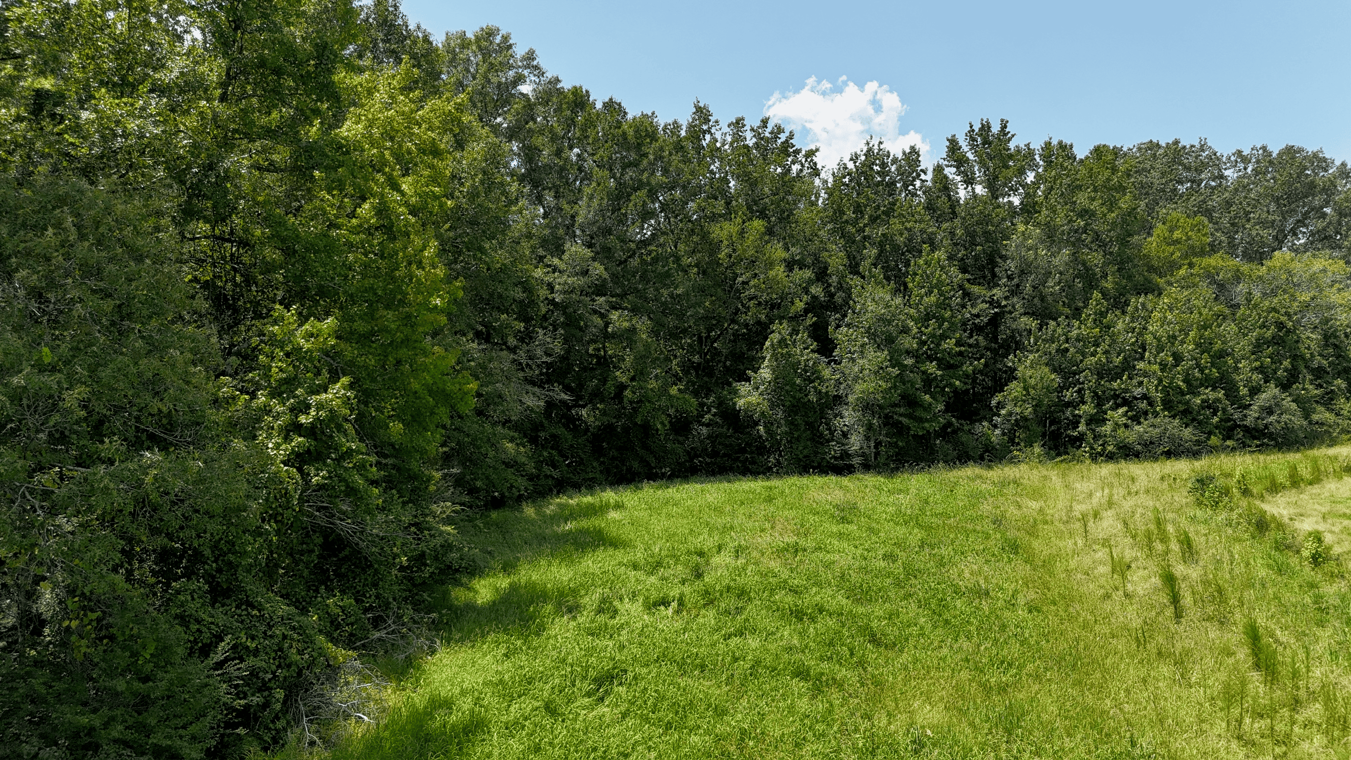 194 Acre Hunting, Homesite, and Pastureland for Sale