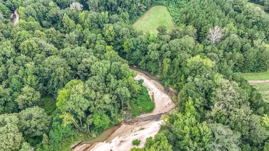 Lonely Live Oak – 1115 Acres Hunting Timberland SW MS