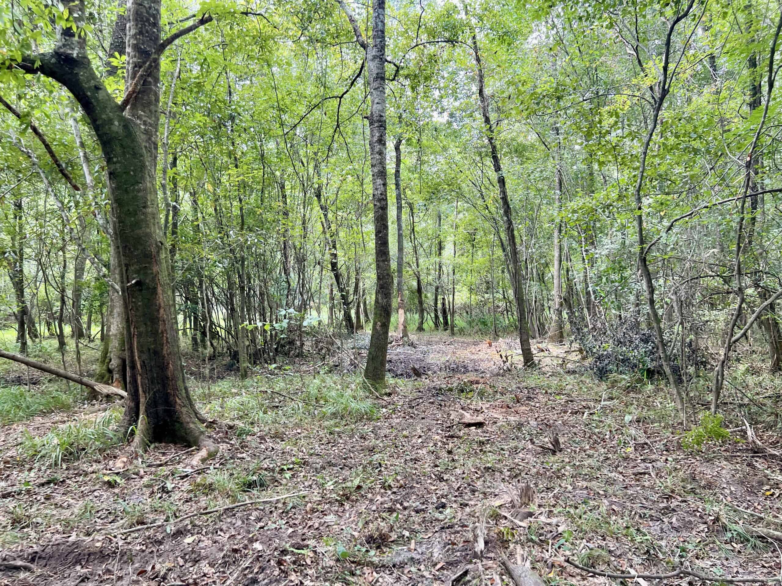 Prime Riverfront Hunting & Recreational Land for Sale in Samson Alabama!