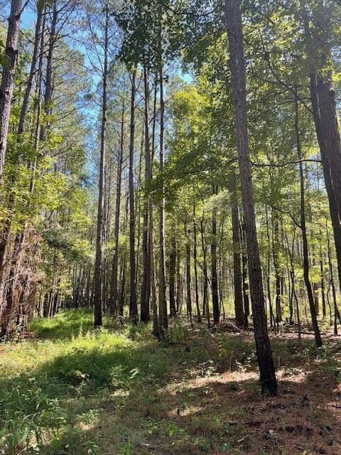 25 Acres For Sale Starkville MS