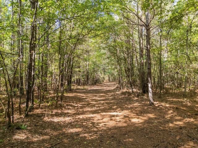 Cypress Lake 127 Acres in Starkville MS