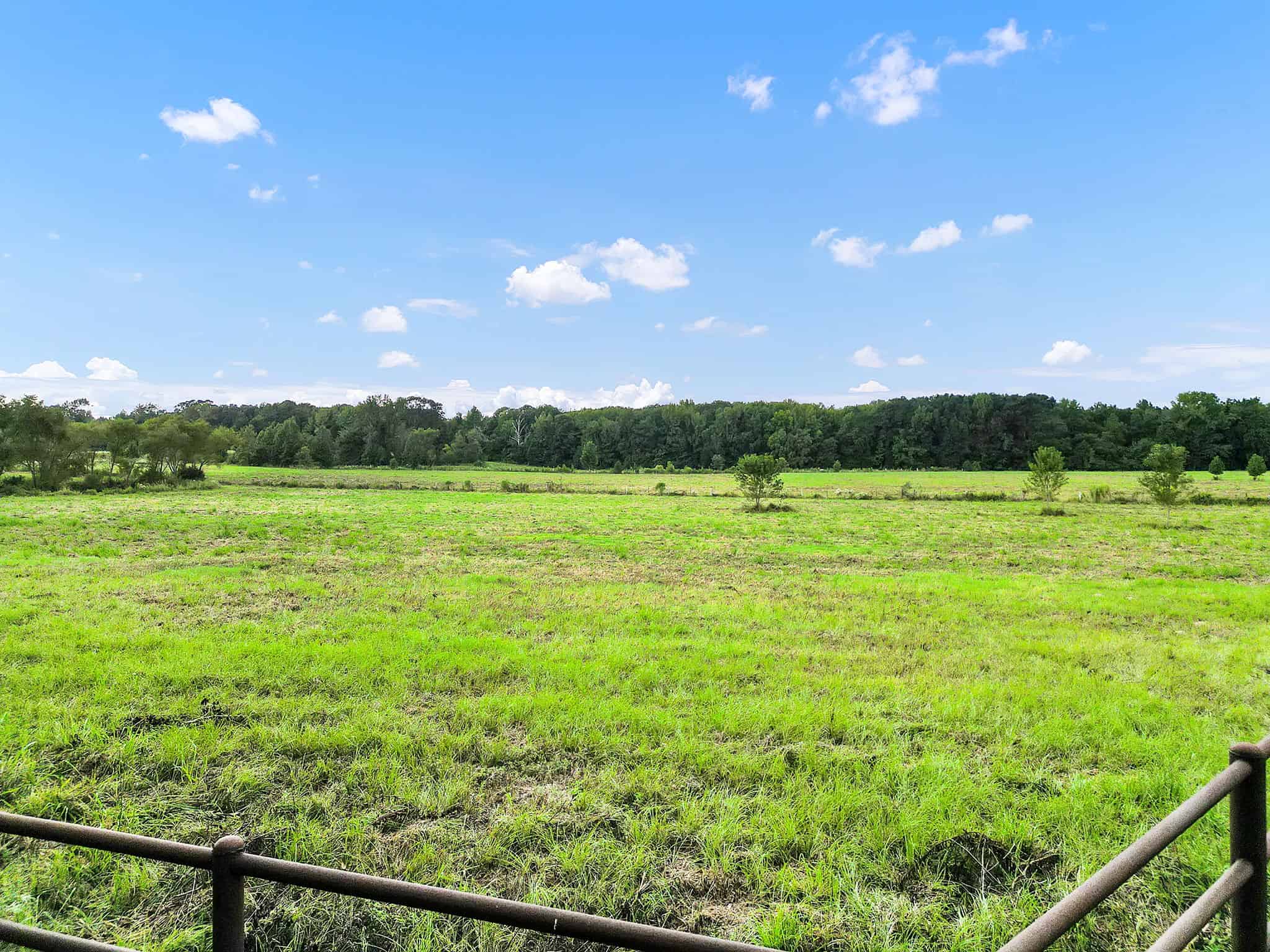 SOLD! Texas Neches Riverfront Hunting Property East of Dallas TX