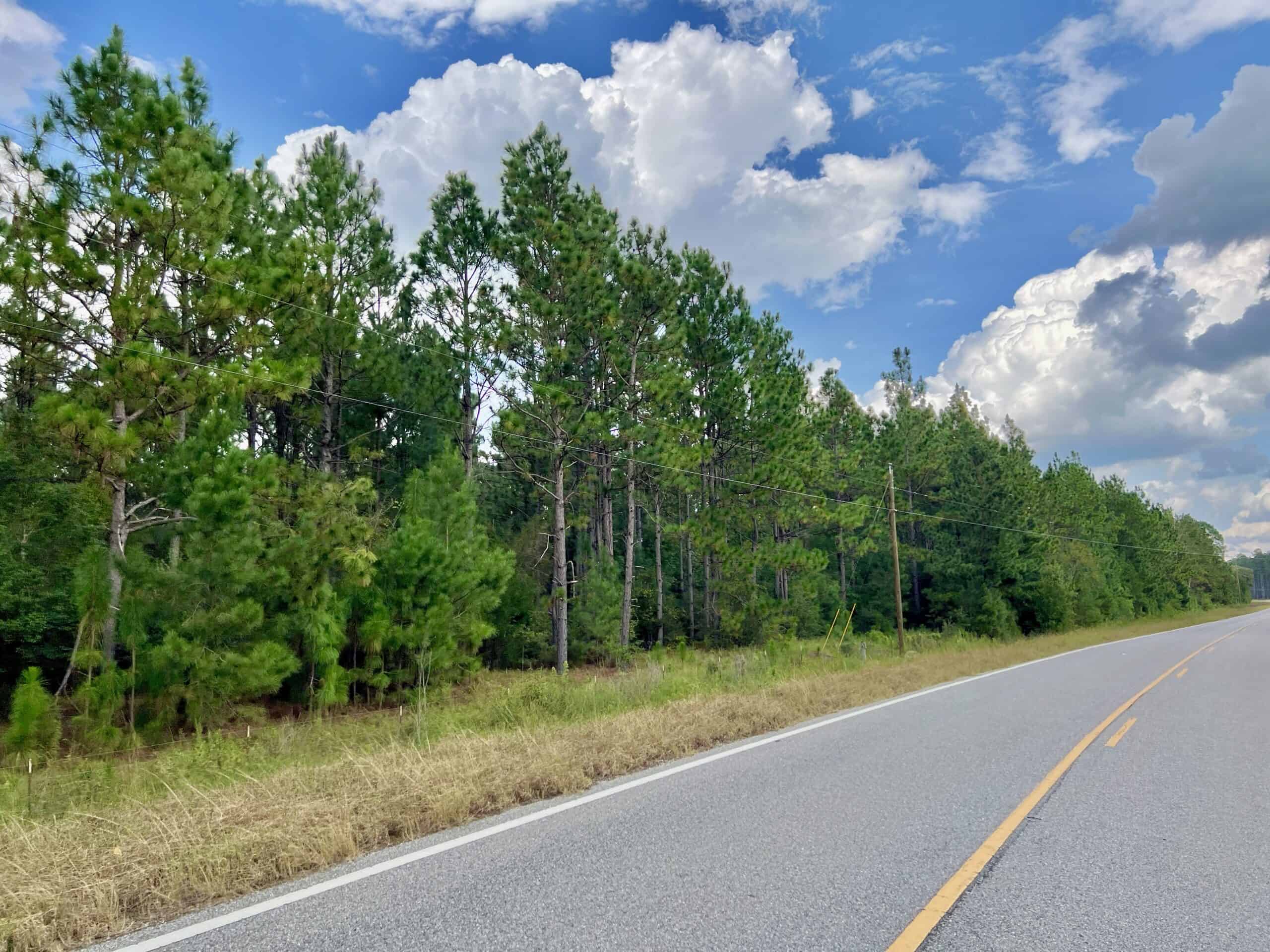 Prime Riverfront Hunting & Recreational Land for Sale in Samson Alabama!
