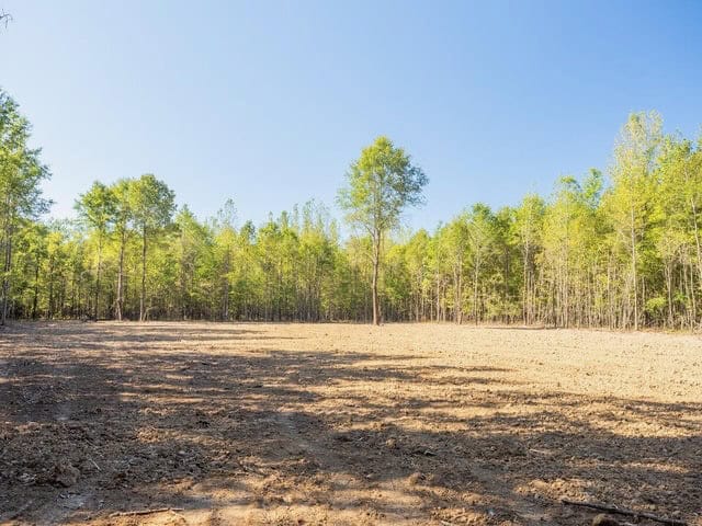 Cypress Lake 127 Acres in Starkville MS