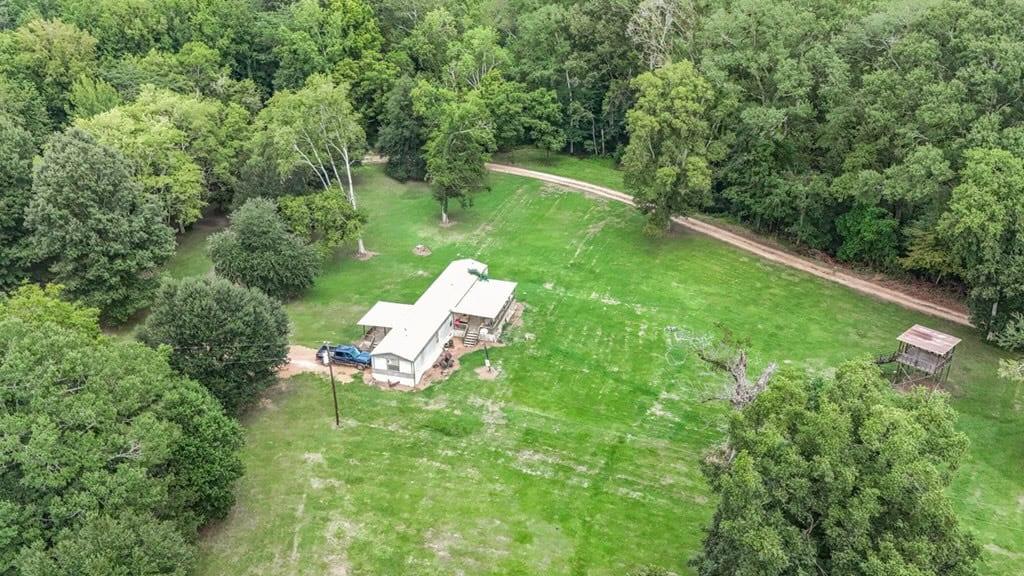 Lonely Live Oak – 1115 Acres Hunting Timberland SW MS