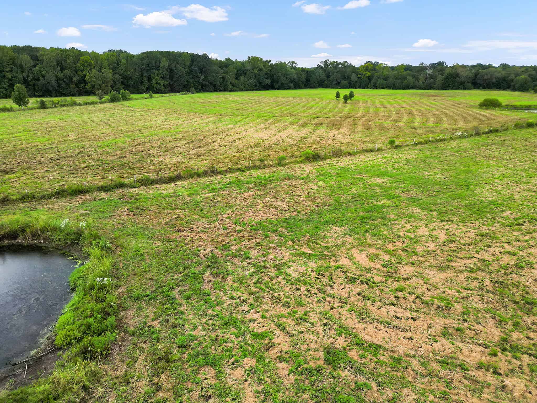 SOLD! Texas Neches Riverfront Hunting Property East of Dallas TX